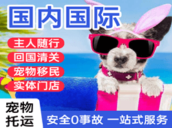 瑷珲航空货运国际宠物托运 【国